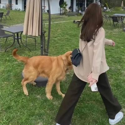 地狱通话